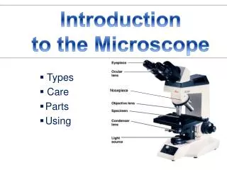 Types Care Parts Using