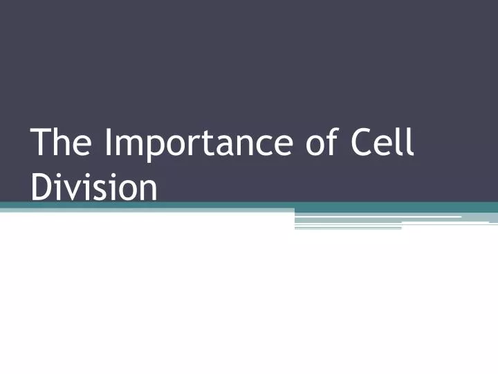 the importance of cell division