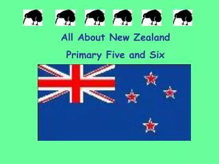 All About New Zealand Primary Five and Six