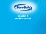 Chapter 2 The Microworld - slide 1