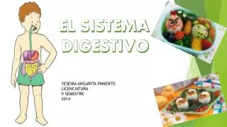 el sistema digestivo