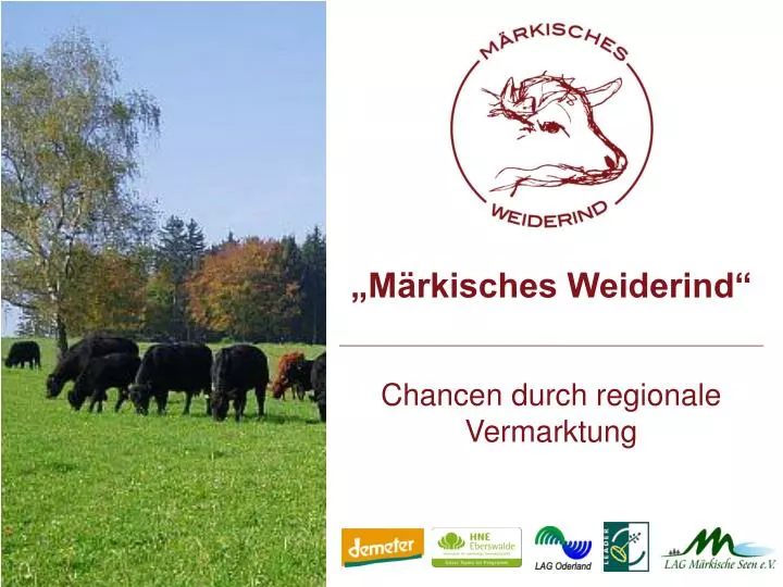 m rkisches weiderind