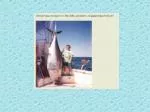 Comprehensive Guide to Saltwater and Freshwater Fish Preparation and Storage - slide 1
