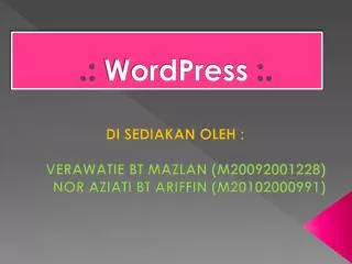 wordpress