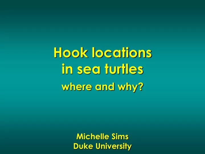 hook locations in sea turtles where and why michelle sims duke university