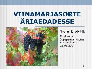 viinamarjasorte riaedadesse