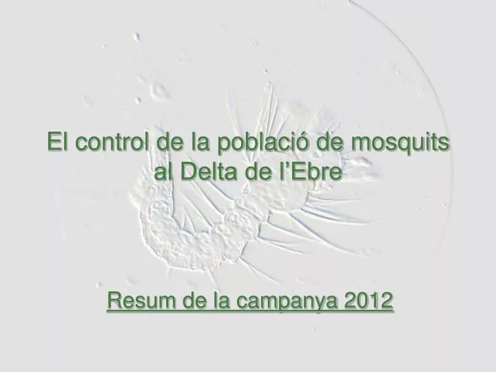 el control de la poblaci de mosquits al delta de l ebre