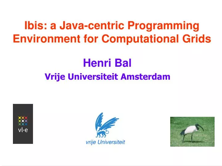 ibis a java centric programming environment for computational grids