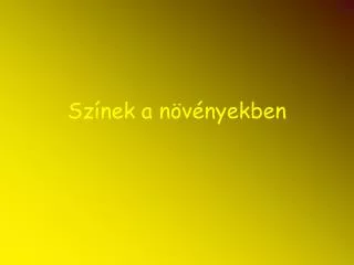 sz nek a n v nyekben