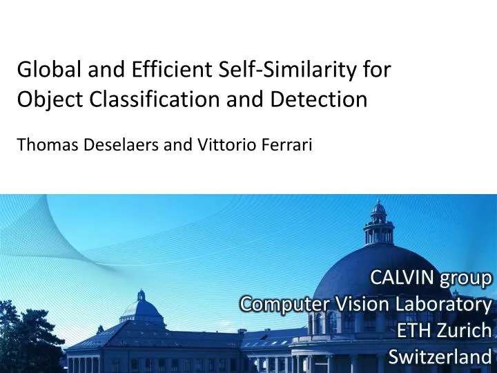 global and efficient self similarity for object classification and detection