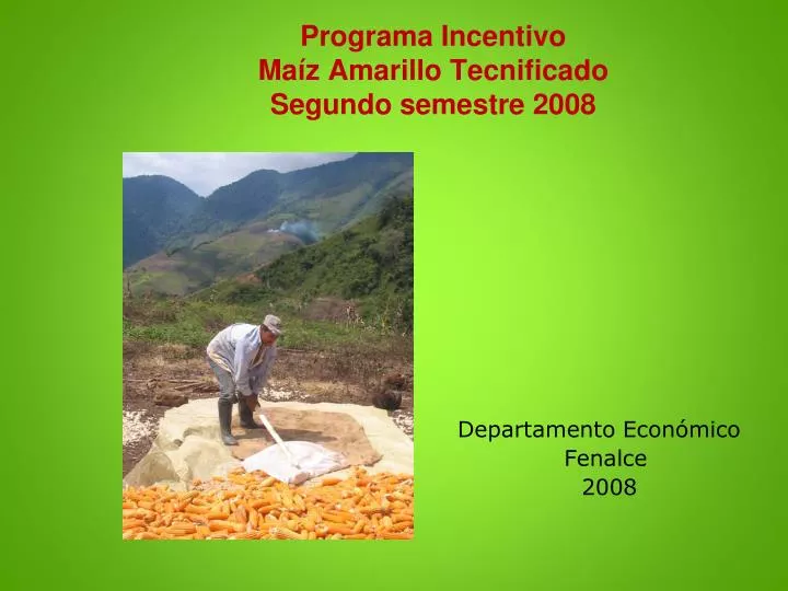 programa incentivo ma z amarillo tecnificado segundo semestre 2008