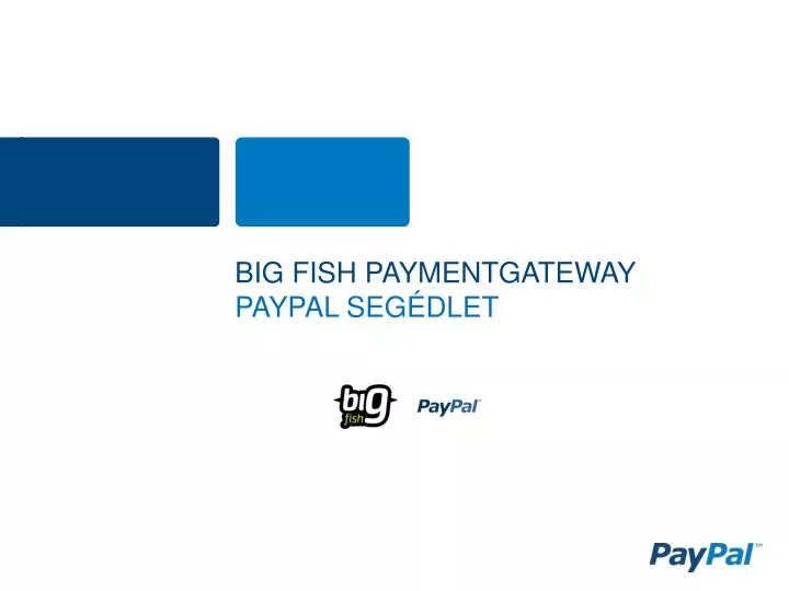 big fish paymentgateway paypal seg dlet