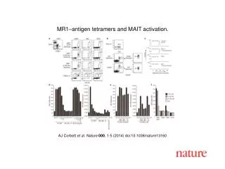 AJ Corbett et al. Nature 000 , 1-5 (2014) doi:10.1038/nature13160