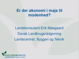 er der konomi i majs til modenhed