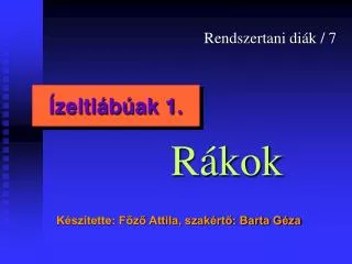 zeltl b ak 1