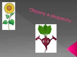 Olejniny a okopaniny