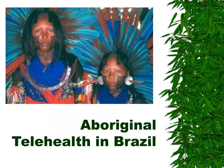 aboriginal telehealth in brazil
