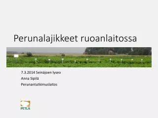 perunalajikkeet ruoanlaitossa