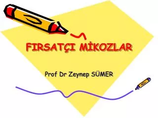 firsat i m kozlar