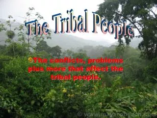 The conflicts, problems plus more that affect the tribal people.
