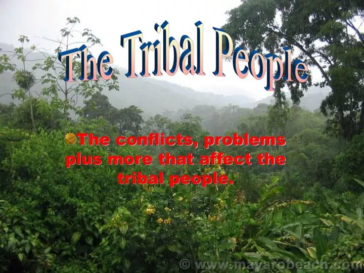 the conflicts problems plus more that affect the tribal people