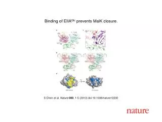 S Chen et al. Nature 000 , 1-5 (2013) doi:10.1038/nature12232