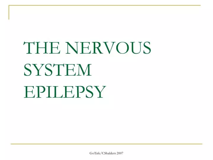 the nervous system epilepsy