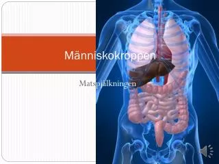 m nniskokroppen