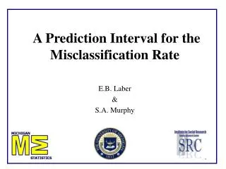 A Prediction Interval for the Misclassification Rate