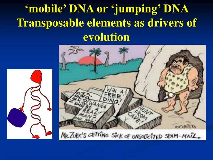 mobile dna or jumping dna transposable elements as drivers of evolution