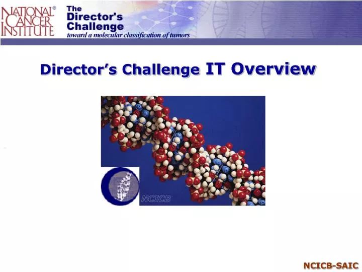 director s challenge it overview