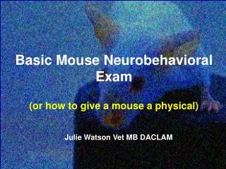 Basic Mouse Neurobehavioral Exam (or how to give a mouse a physical)