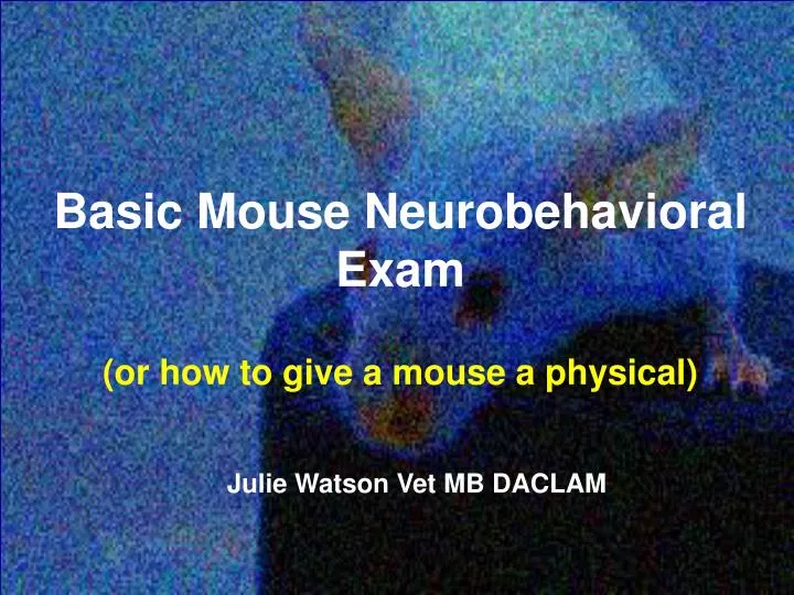 basic mouse neurobehavioral exam or how to give a mouse a physical