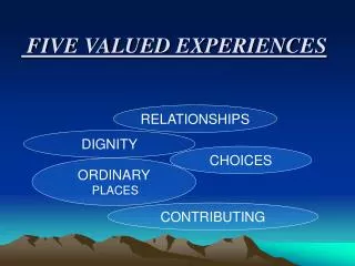 FIVE VALUED EXPERIENCES