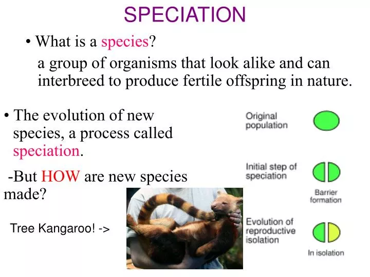 section 15 2 summary pages 404 413