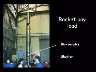 Rocket pay load