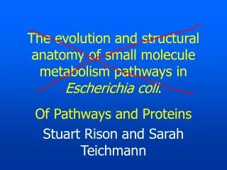 The evolution and structural anatomy of small molecule metabolism pathways in Escherichia coli .
