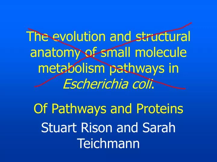 the evolution and structural anatomy of small molecule metabolism pathways in escherichia coli