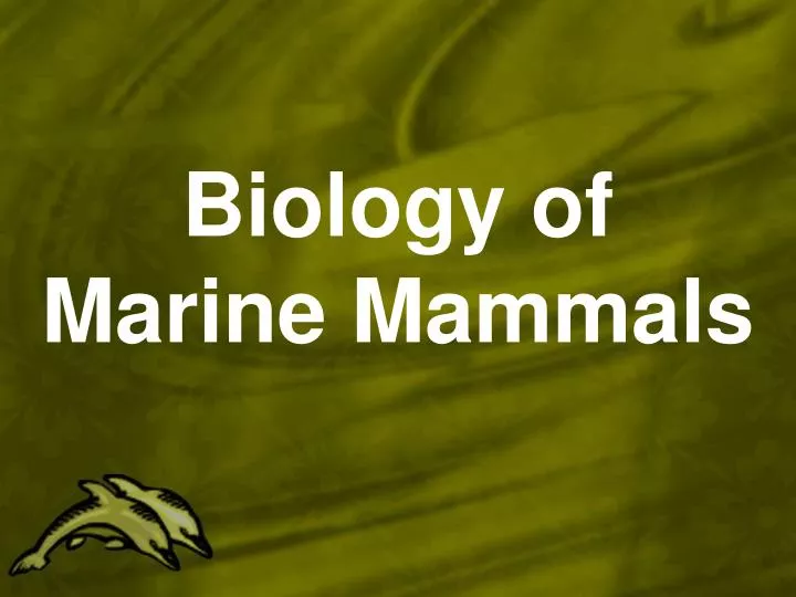 biology of marine mammals