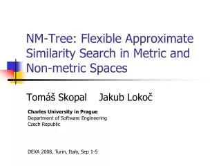 NM-Tree : Flexible Approximate Similarity Search in Metric and Non-metric Spaces