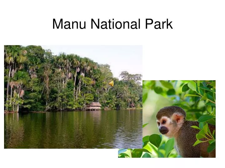 manu national park