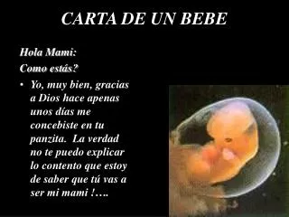 carta de un bebe