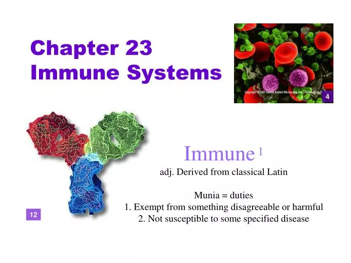 chapter 23 immune systems