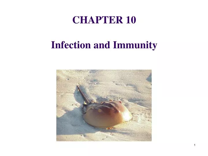 chapter 10 infection and immunity