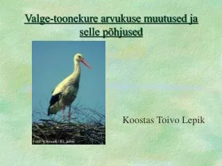 valge toonekure arvukuse muutused ja selle p hjused