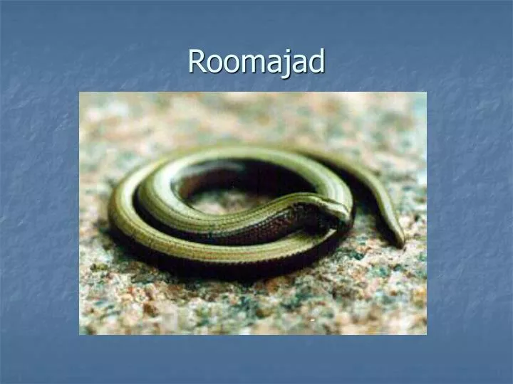 roomajad