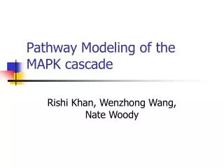 Pathway Modeling of the MAPK cascade