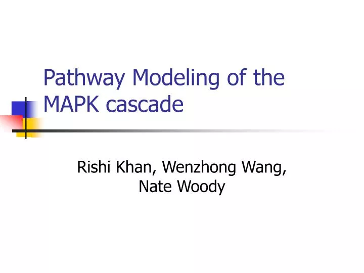 pathway modeling of the mapk cascade