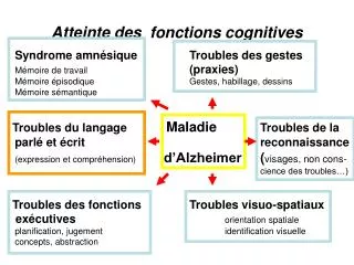 atteinte des fonctions cognitives