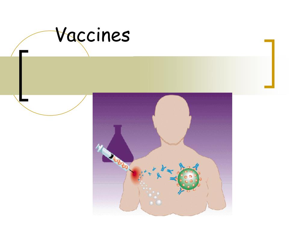 PPT - Vaccines PowerPoint Presentation, free download - ID:4244614